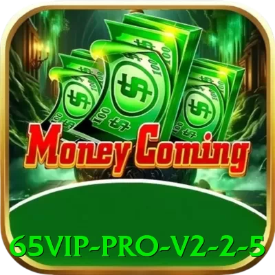 65vip - Pro v2.2.5 - pak