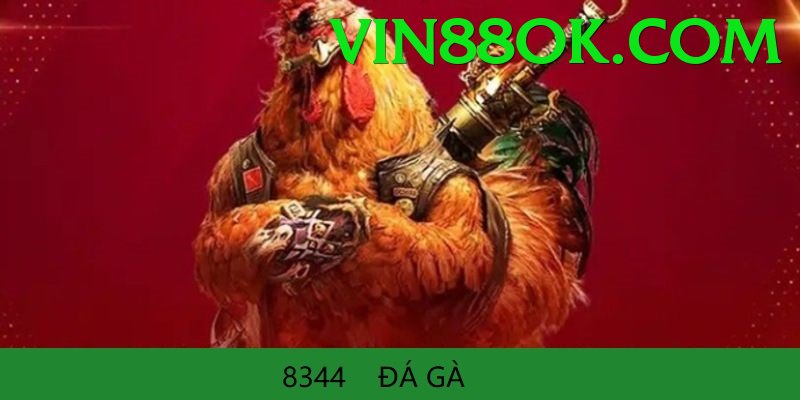 Đá Gà Trực Tiếp - vin88 - Top server